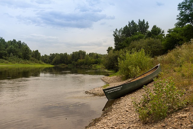 Kayakers paddling down the scenic Cartecay River in Elijah GA with lush green trees