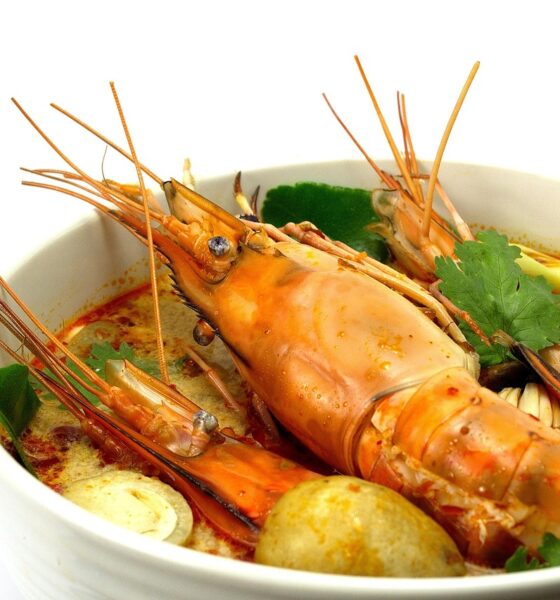 poulet thailand dish